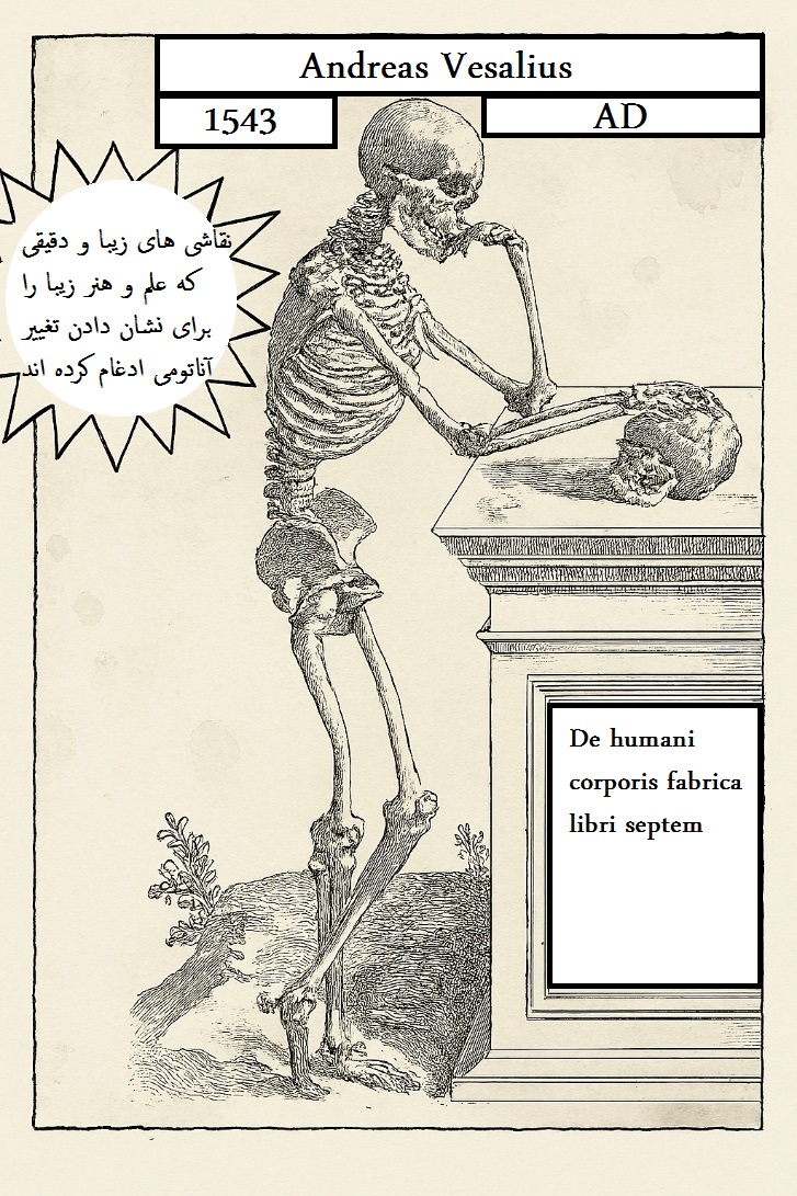 Panel 12